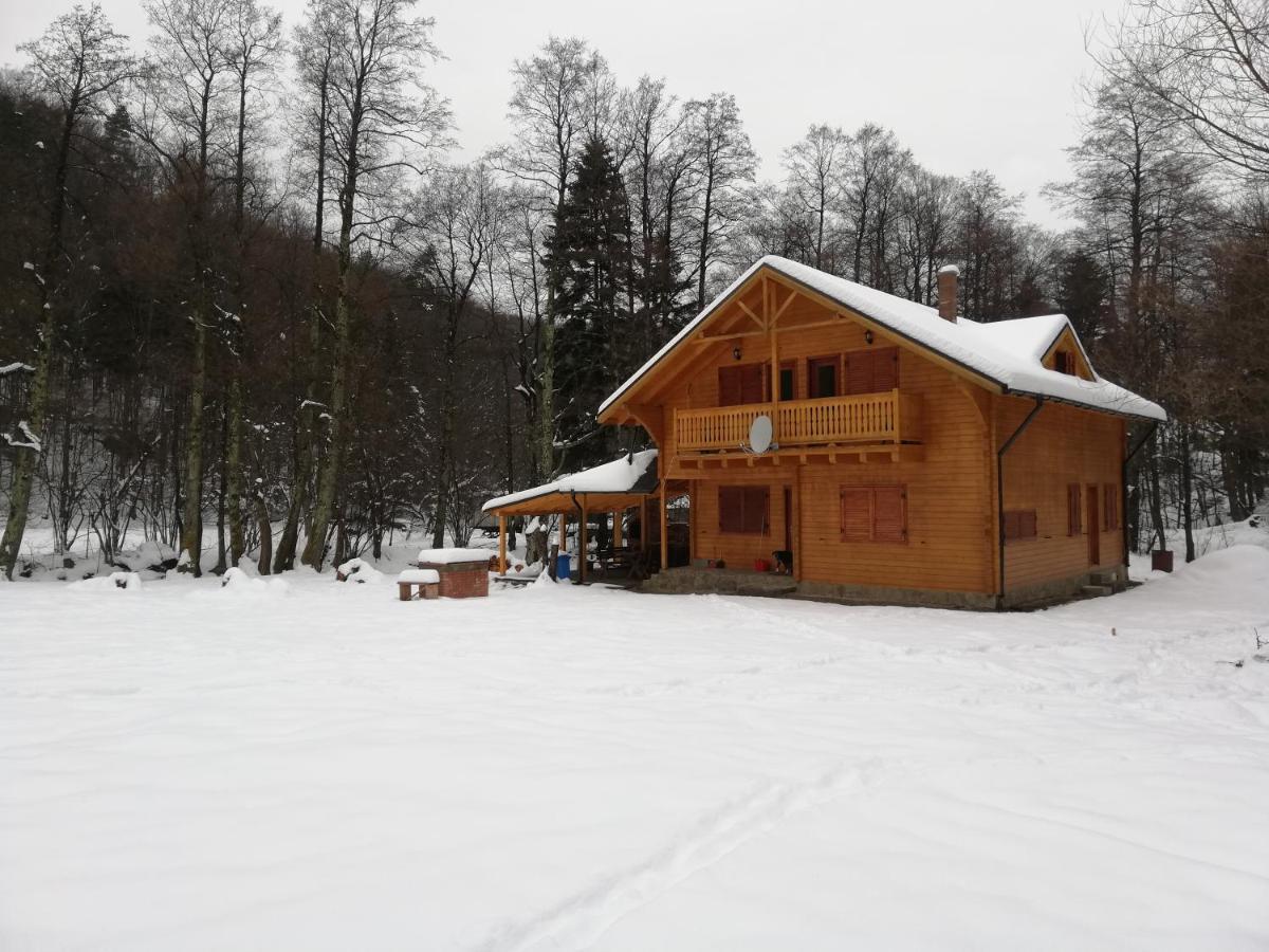 Chalet By The River Văliug Exterior foto